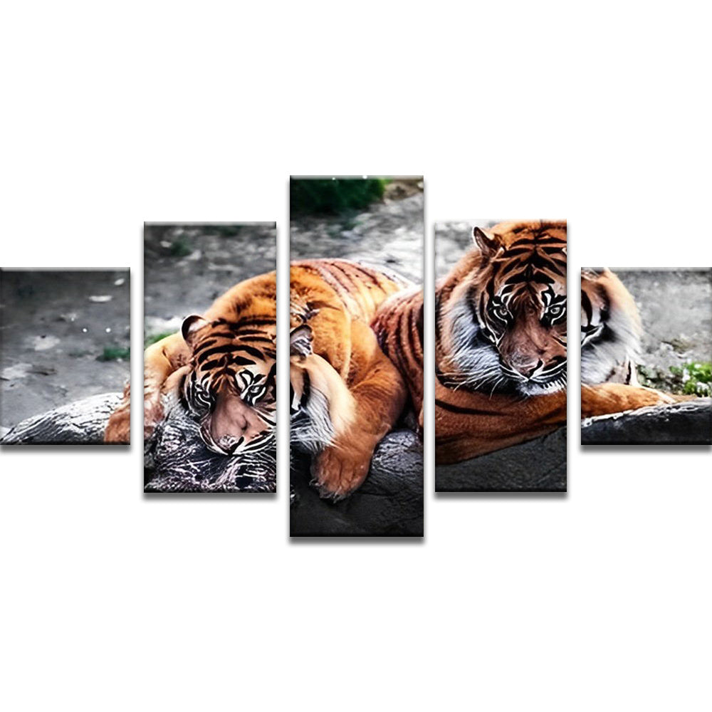 Pareja de Tigres 5 Partes Pintar por Números