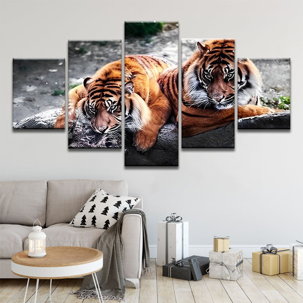 Pareja de Tigres 5 Partes Pintar por Números