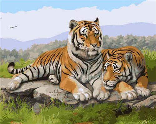 Pareja de Tigres sobre la Roca Pintar por Números
