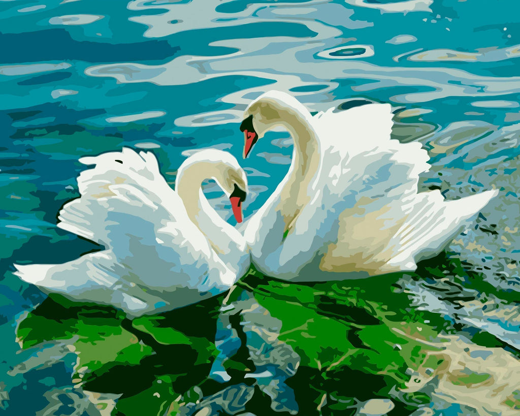 Pareja Romántica de Cisnes Pintar por Números