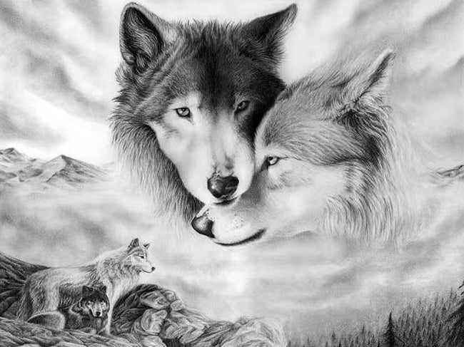 Parejas de Lobos en Blanco y Negro Pintar por Números
