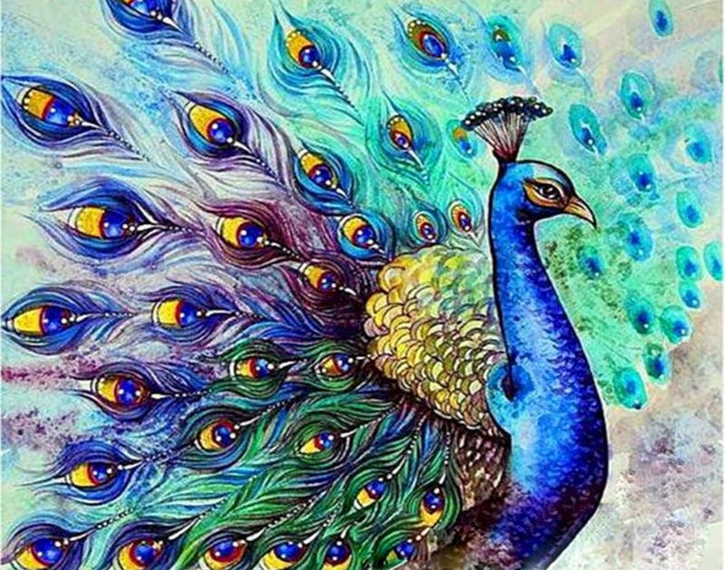 Pavo Real con Cola Abierta Pintar por Números