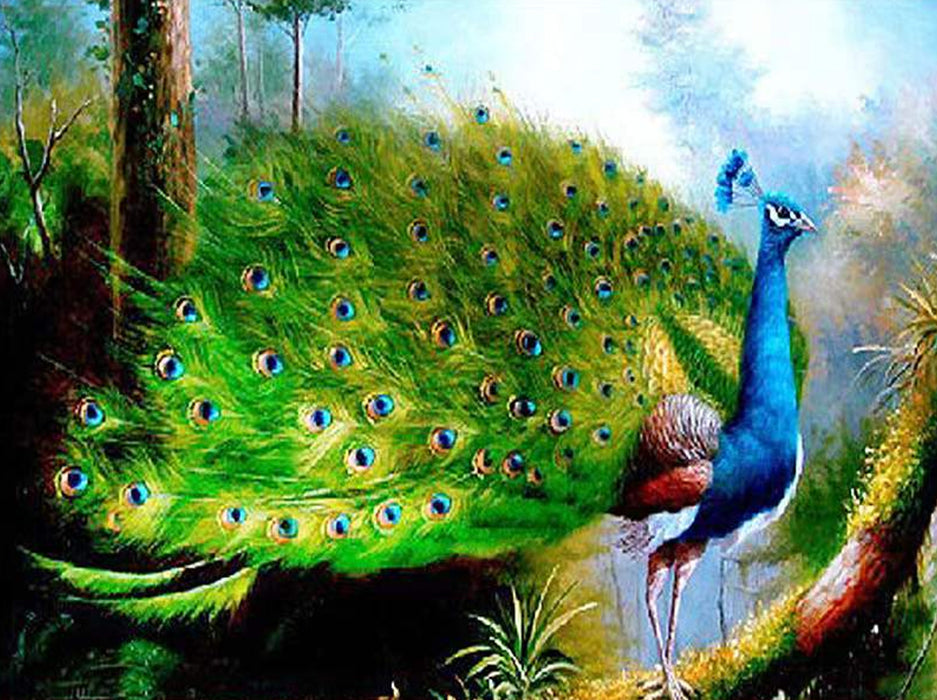 Pavo Real con Cola Verde Abierta Pintar por Números