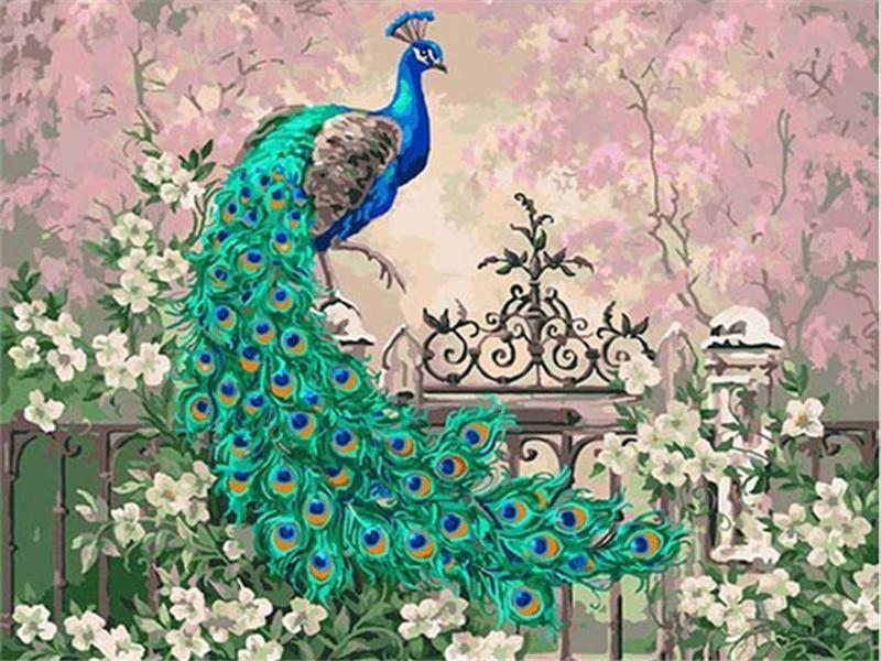 Pavo Real con Flores Blancas y Rosas Pintar por Números