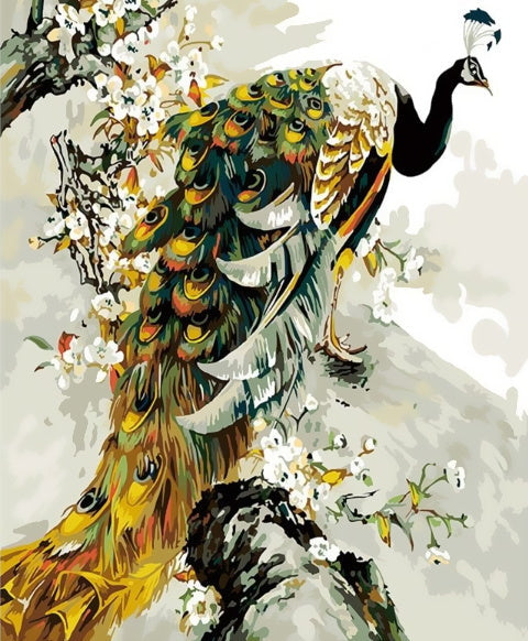 Pavo Real sobre Rama Floral Pintar por Números