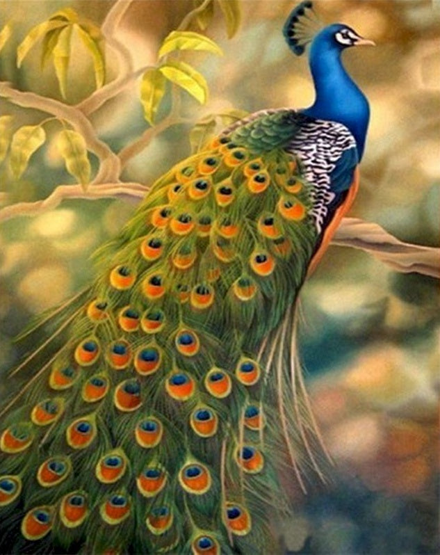Pavo Real y Hojas sobre Árbol Pintar por Números