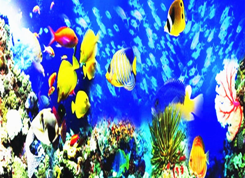 Peces Amarillos y los Corales Pintar por Números