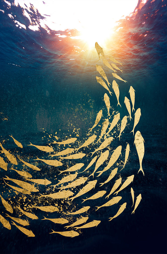 Peces Dorados hacia la Superficie Pintar por Números