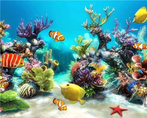 Peces en Arrecife de Corales en el Fondo Marino Pintar por Números