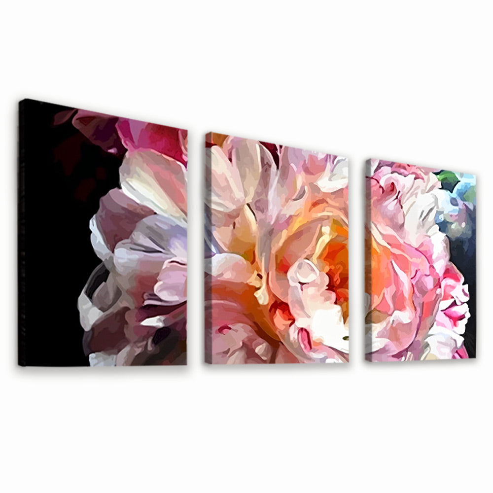 Peonía Hermosa con Pétalos Rosados y Blancos 3 Partes Pintar por Números