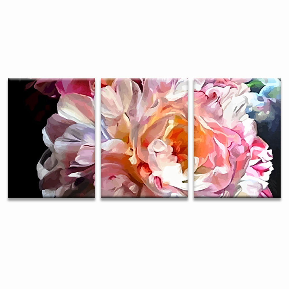 Peonía Hermosa con Pétalos Rosados y Blancos 3 Partes Pintar por Números