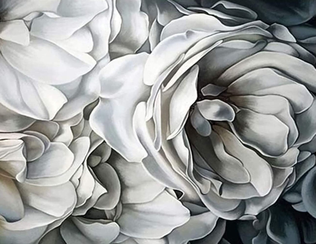 Peonías de Color Blanco Puro Pintar por Números