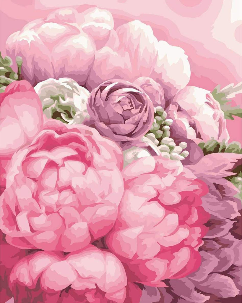 Peonías de Color Rosado y Morado Pintar por Números