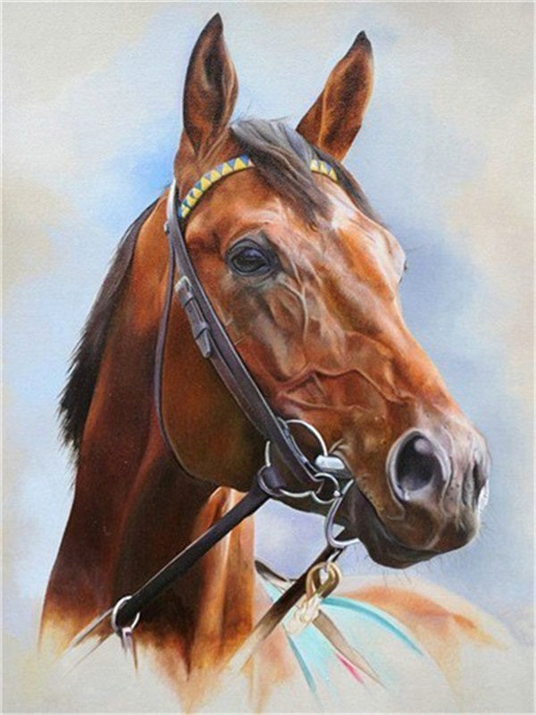Perfil de Caballo Marrón con Cabestro Pintar por Números