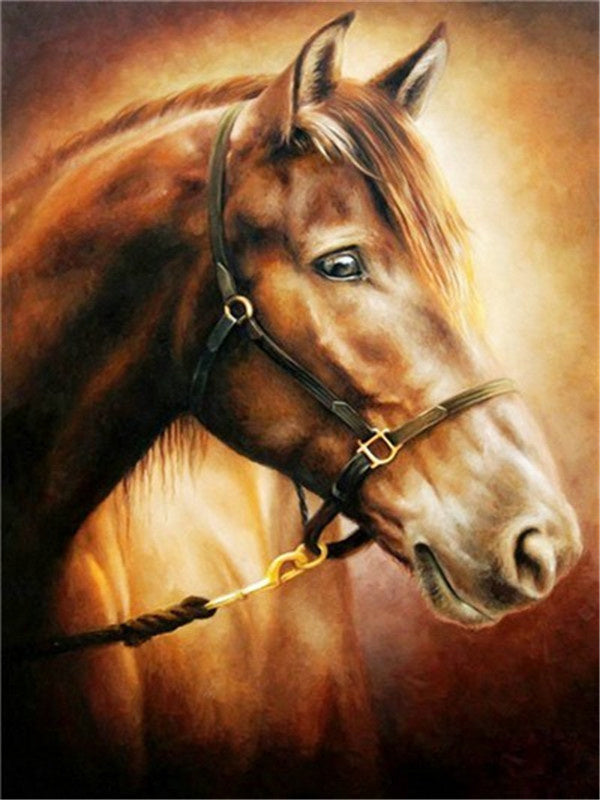 Perfil de Caballo Marrón Pintar por Números