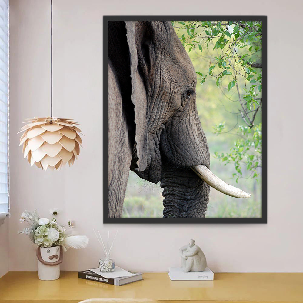 Perfil de Elefante y Ramas de Árbol Pintar por Números