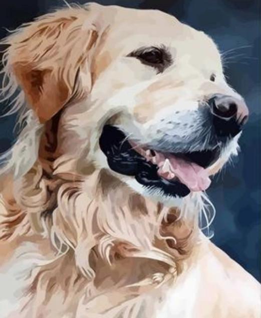 Perfil de Perro Lindo Pintar por Números