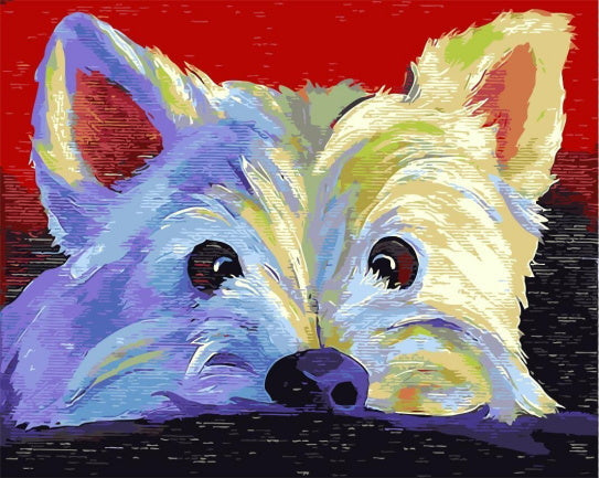 Perrito Blanco Adorable Pintar por Números
