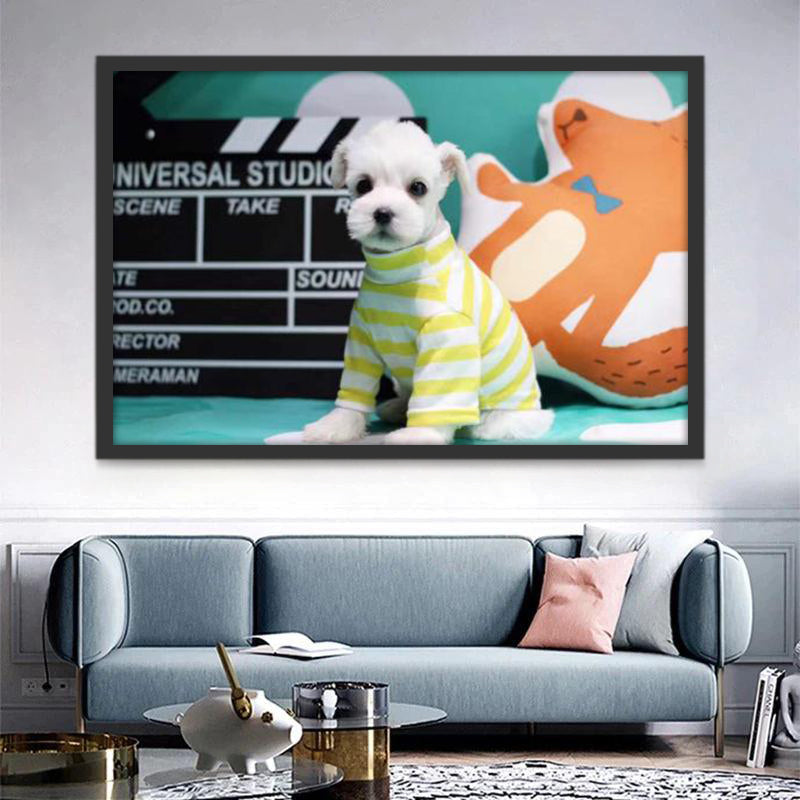 Perrito Blanco Lindo con Ropa Pintar por Números