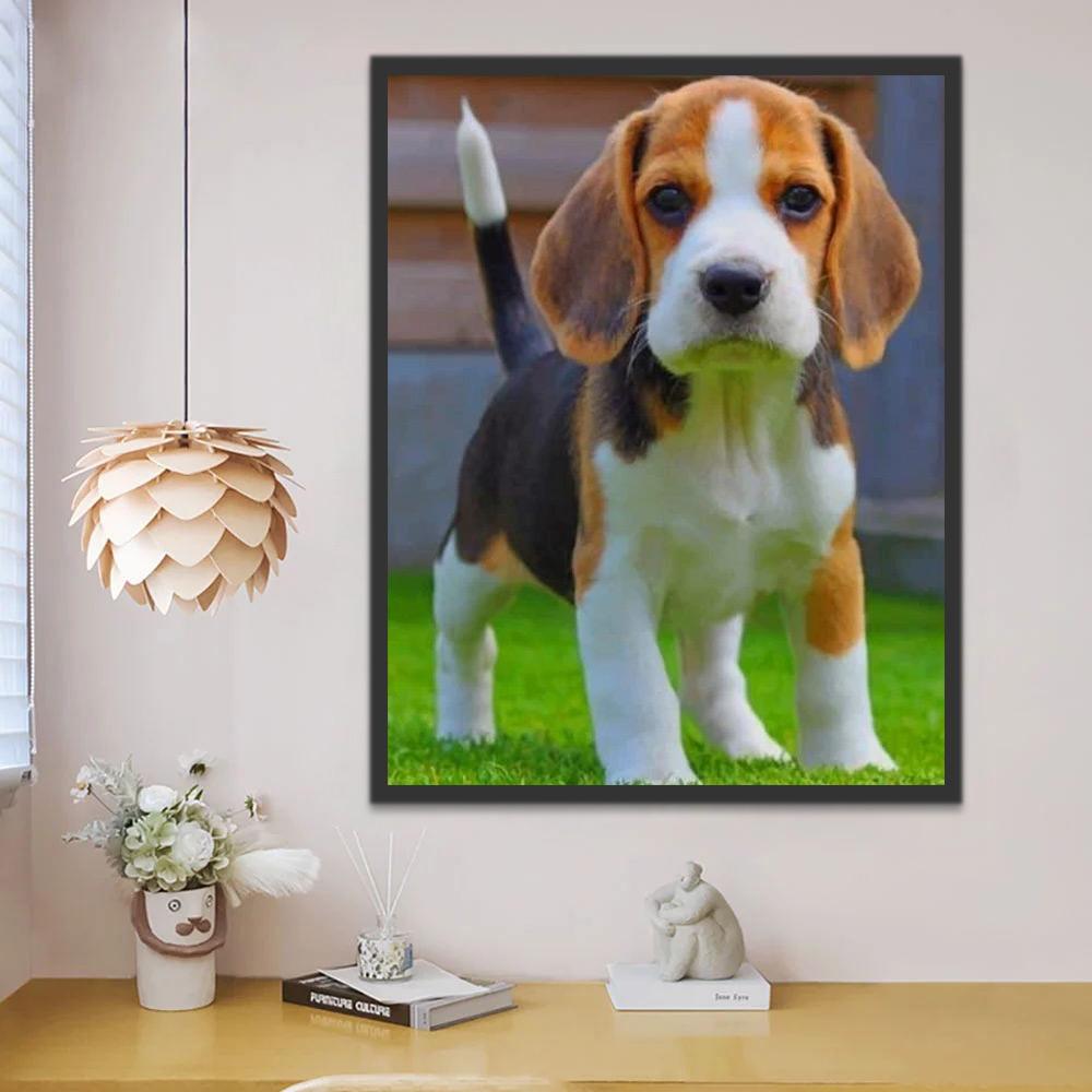 Perrito en el Césped Pintar por Números