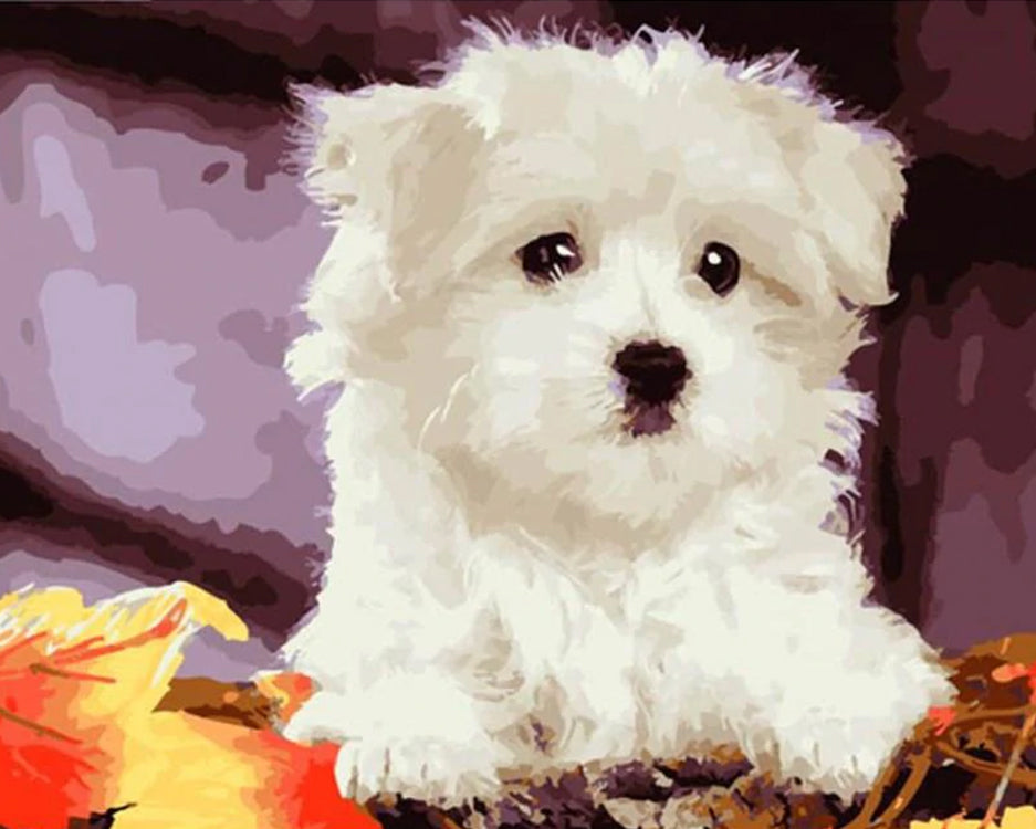 Perrito Lindo Blanco Pintar por Números