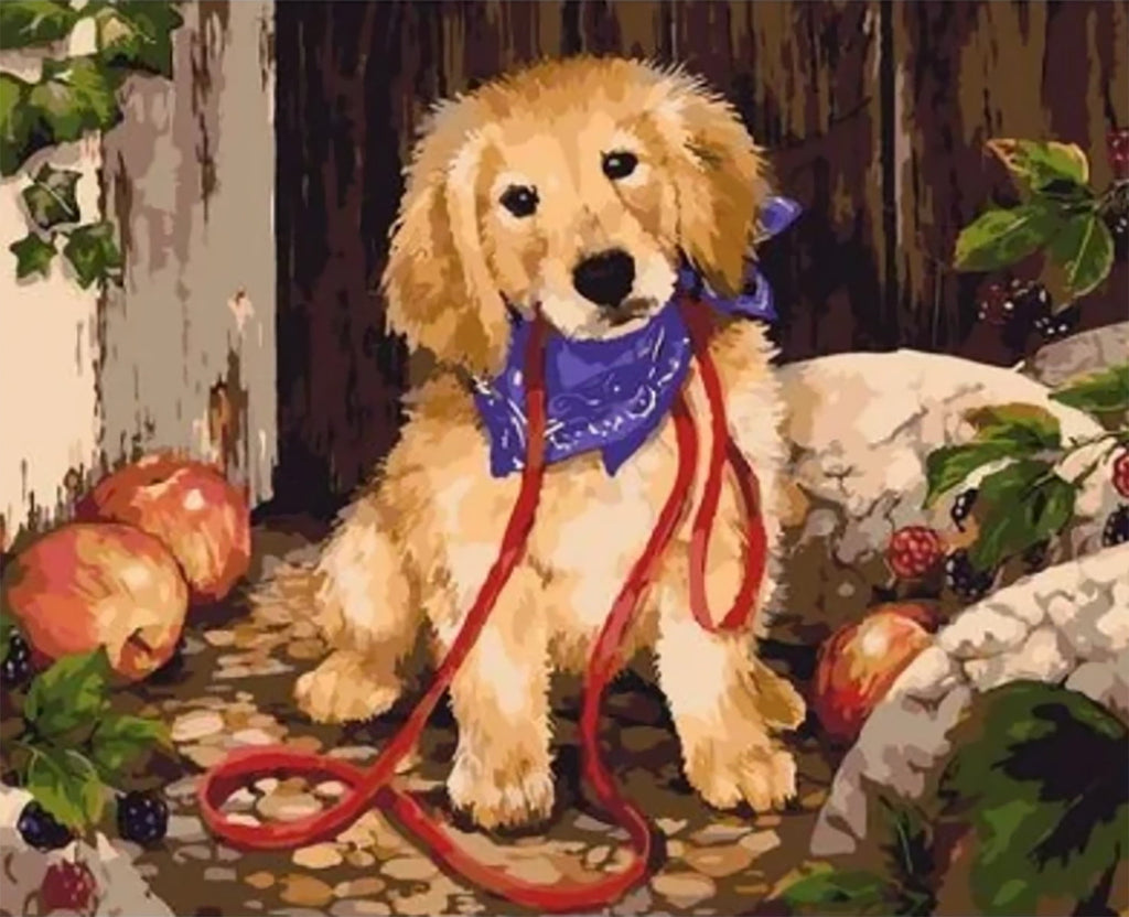 Perrito Lindo con Bufanda Violácea Pintar por Números