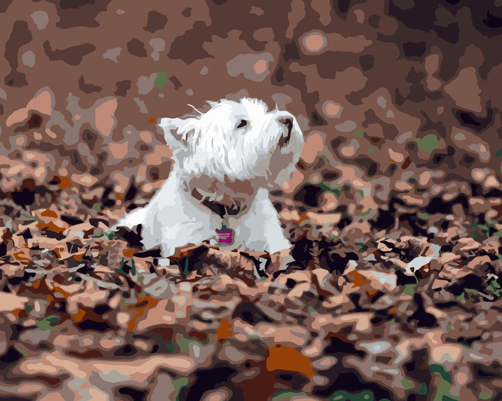 Perrito sobre Hojas de Otoño Caídas Pintar por Números