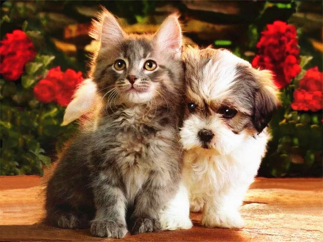 Perrito y Gatito Pintar por Números