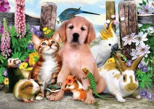 Perrito y Sus Compañeros Pintar por Números