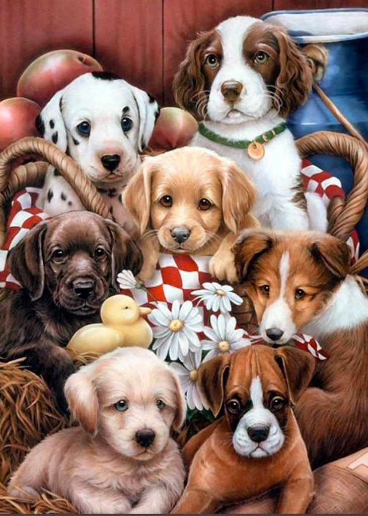 Perritos de Razas Diferentes Pintar por Números