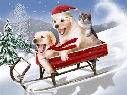 Perritos y Gatito en Trineo Rojo Pintar por Números