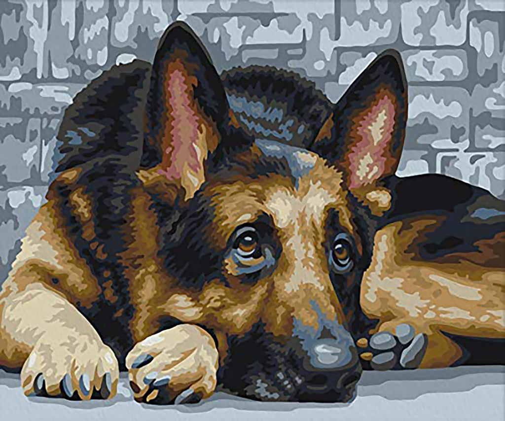 Perro Acostado en el Suelo Pintar por Números