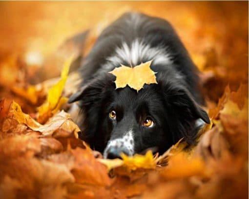 Perro Acostado en Hojas de Otoño Caídas Pintar por Números