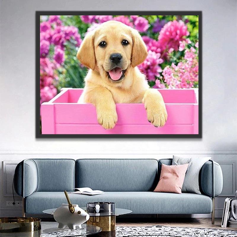 Perro Adorable en Caja Rosa Pintar por Números