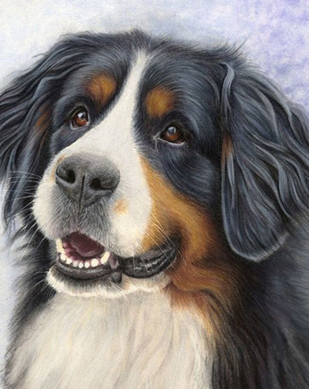 Perro Adorable Pintar por Números
