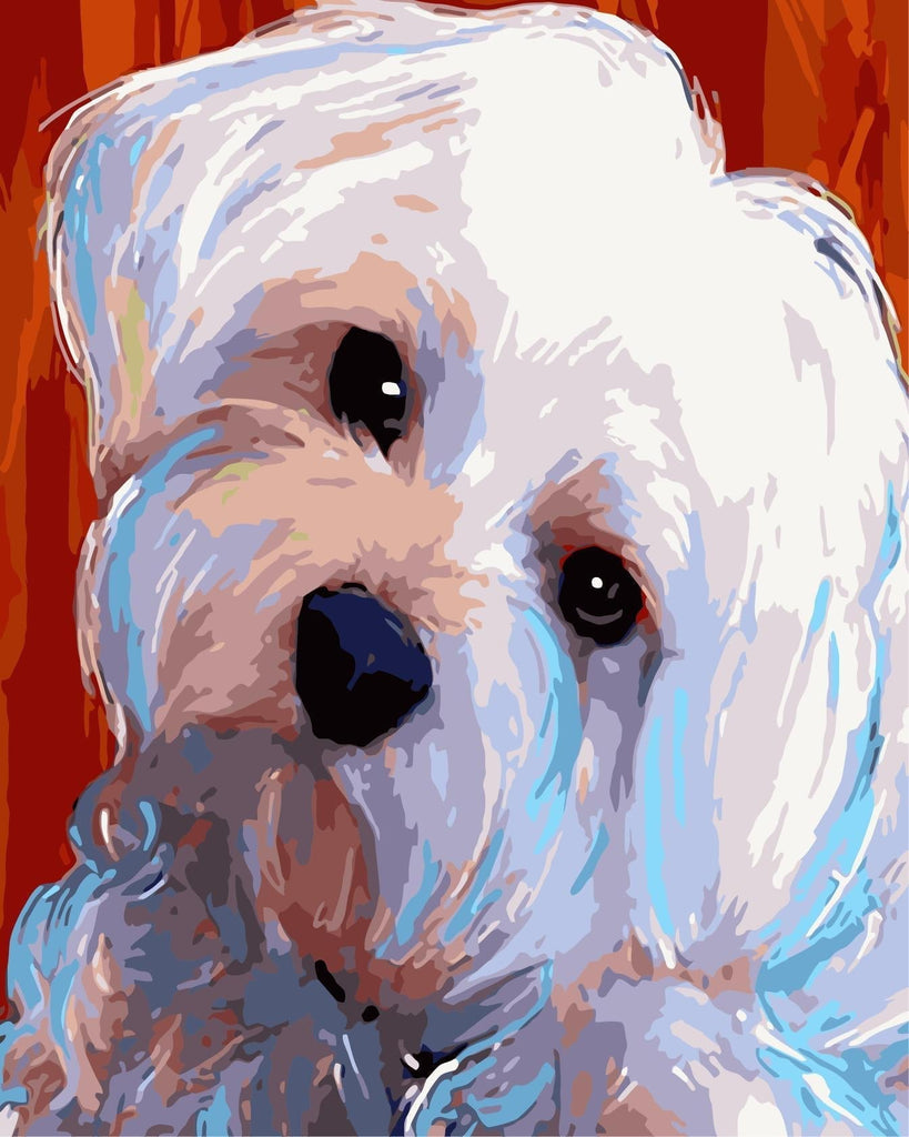 Perro Blanco Adorable Pintar por Números