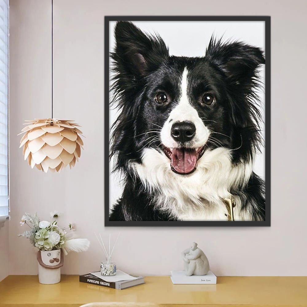 Perro Blanco y Negro Pintar por Números