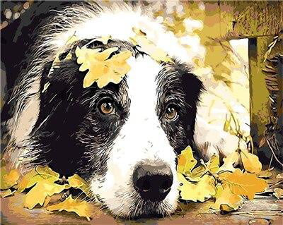 Perro Blanco y Negro y Hojas de Otoño Caídas Pintar por Números
