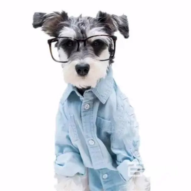 Perro con Gafas y Camisa Azul Pintar por Números