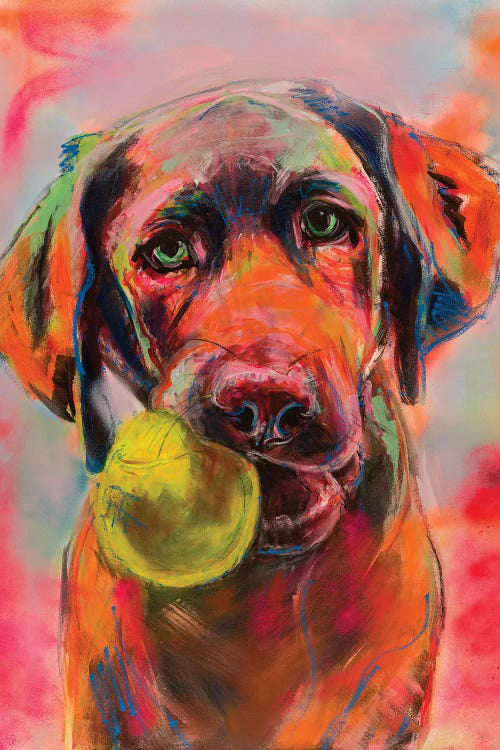 Perro con Pelota de Tenis en Su Boca Pintar por Números