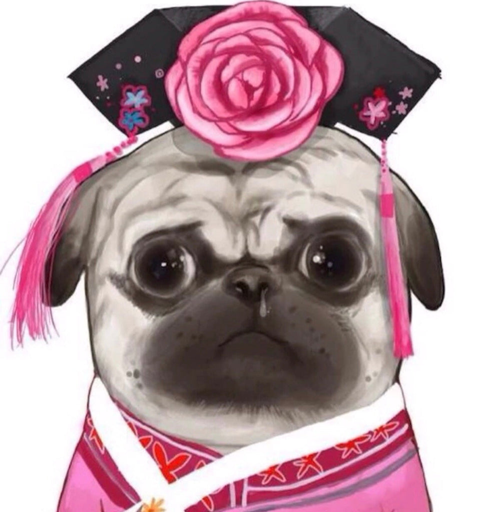 Perro con Ropa de Dinastía Qing Pintar por Números