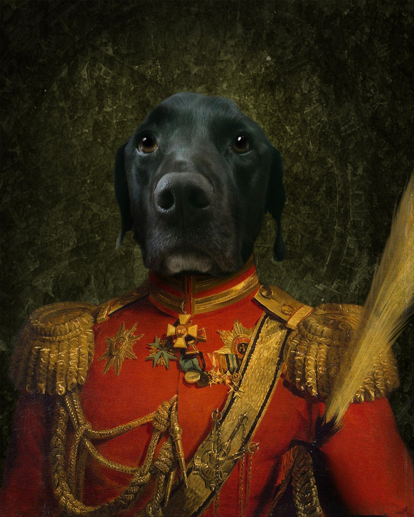 Perro con Ropa de General Pintar por Números