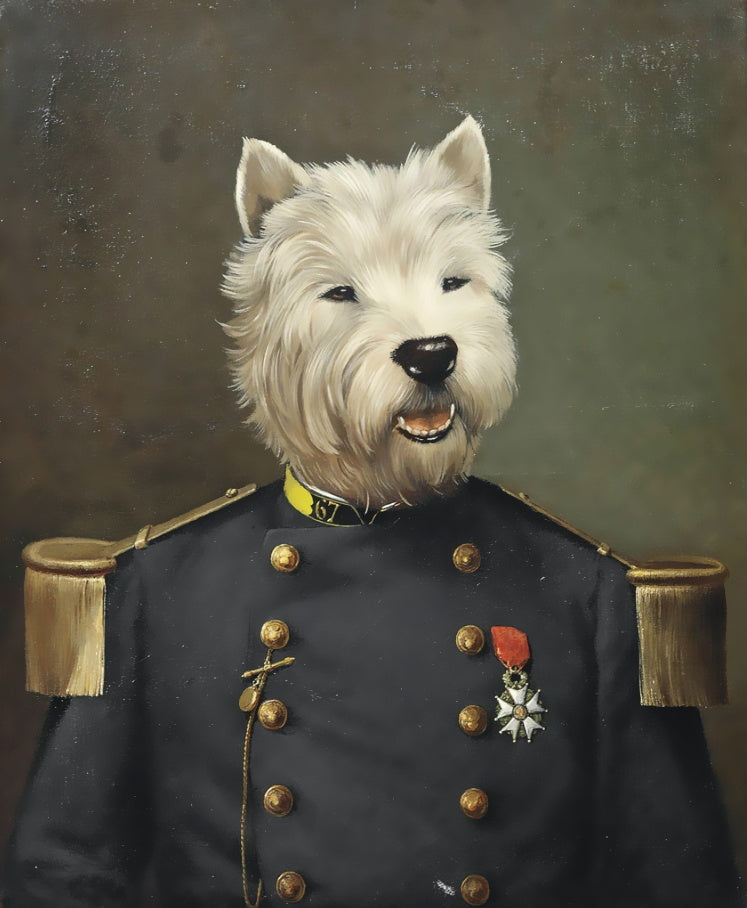 Perro con Ropa de General Pintar por Números