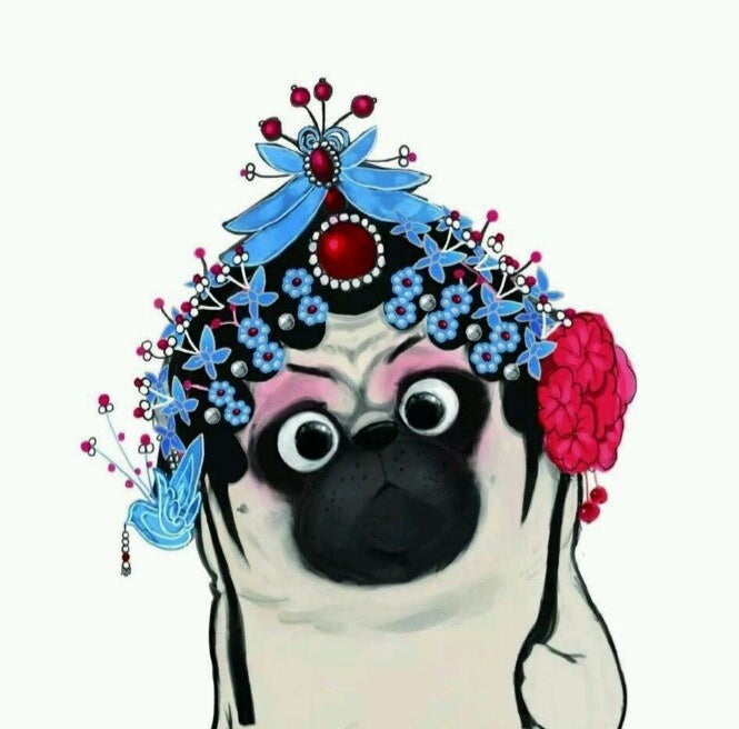 Perro con Ropa de Ópera China Pintar por Números
