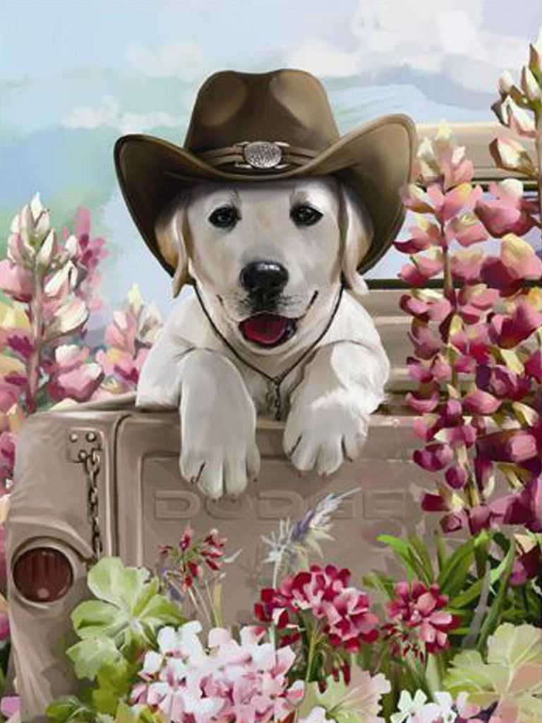 Perro con Sombrero y Las Flores Rosas Pintar por Números