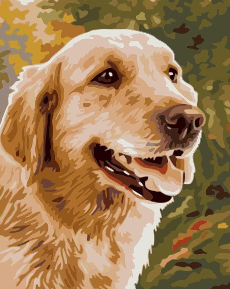 Perro con Sonrisa Pintar por Números