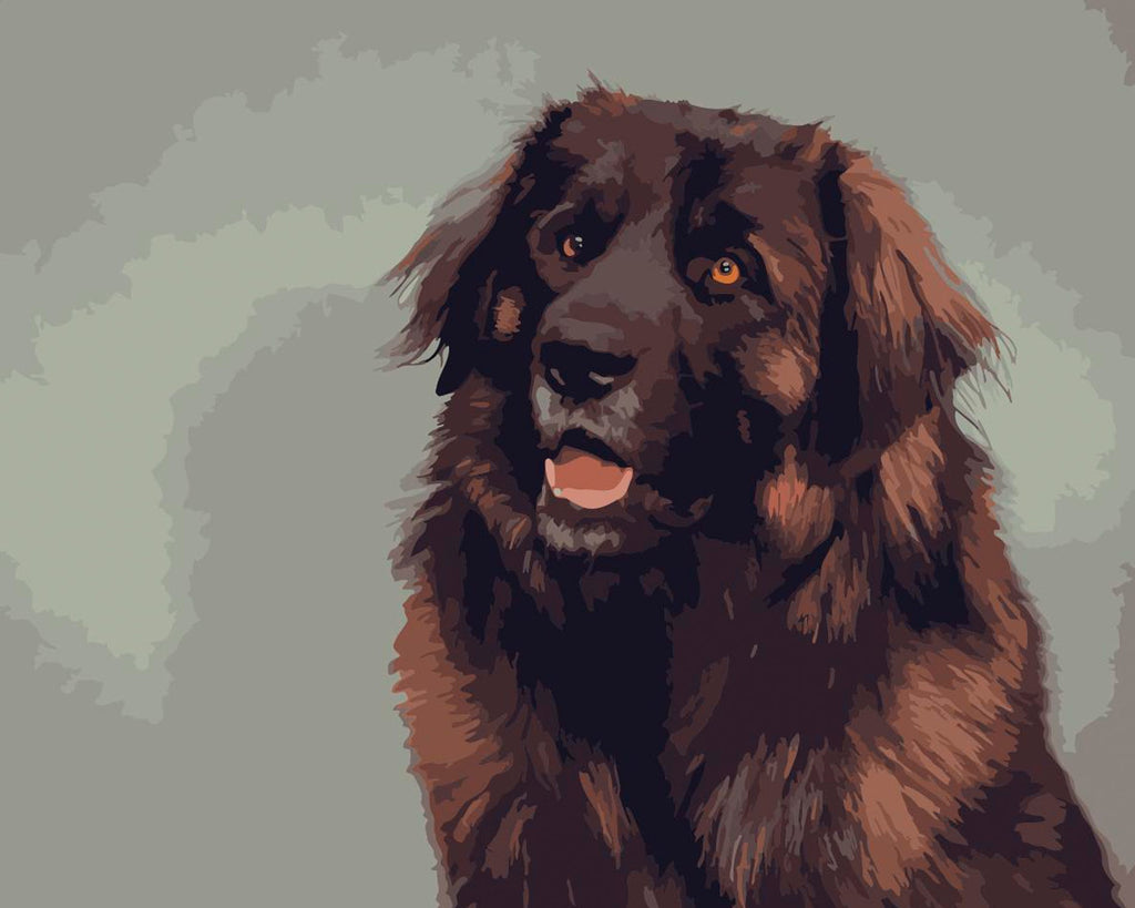 Perro de Color Marrón Pintar por Números