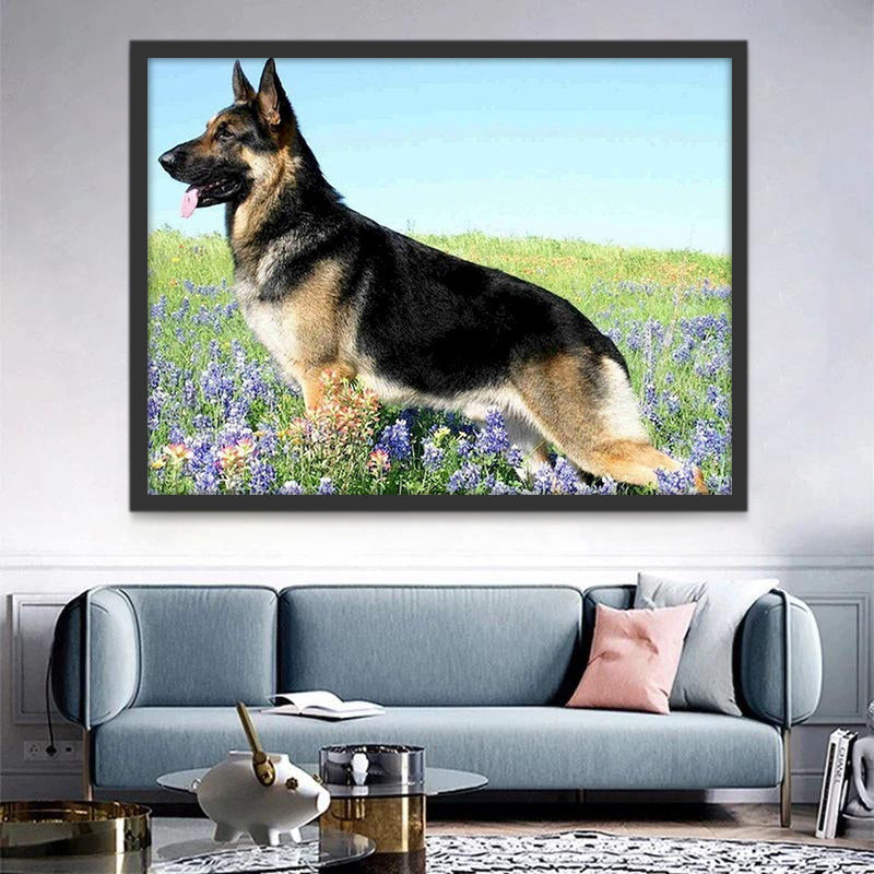Perro en Campo de Lavándula Pintar por Números