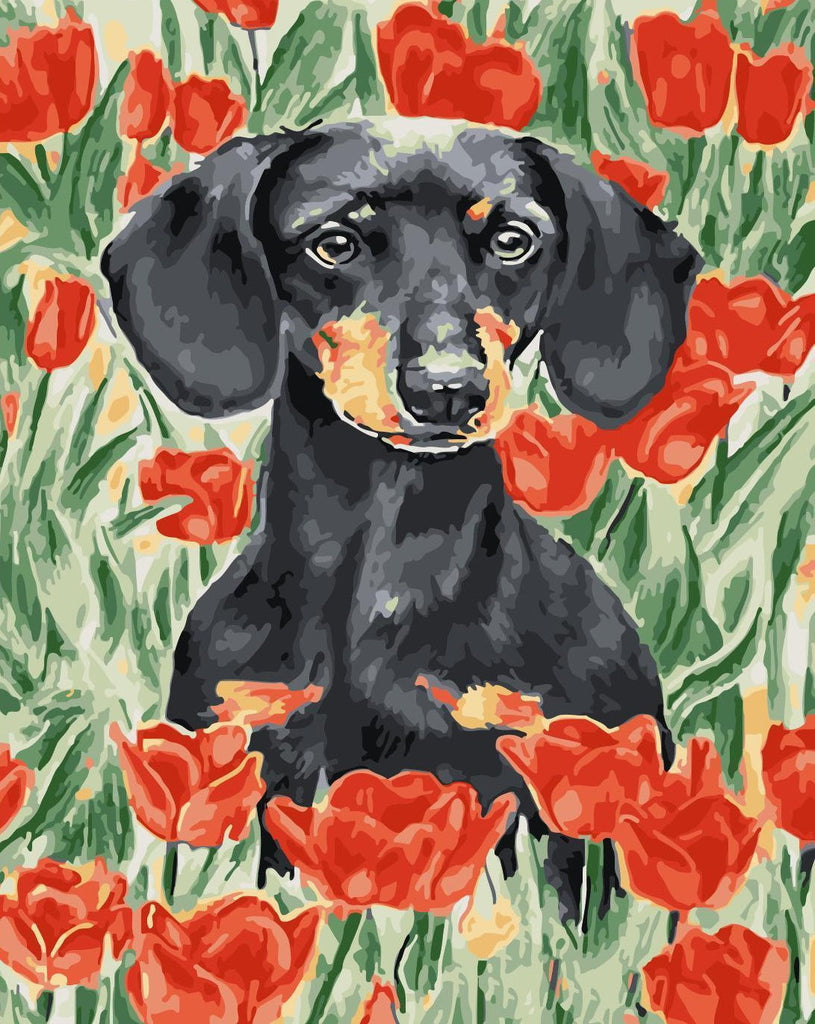 Perro en Flores del Tulipán Rojo Pintar por Números