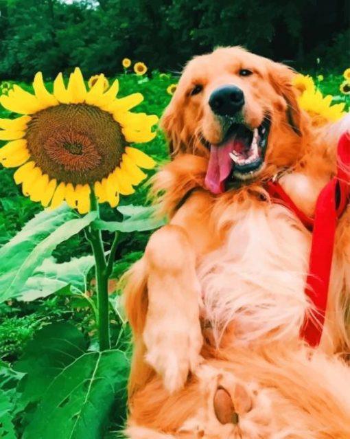 Perro Feliz y un Girasol con Fondo de Árboles Verdes Pintar por Números